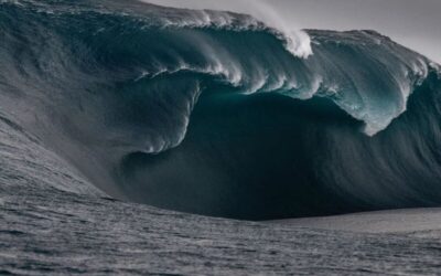 Chronicles of a small industrialist who dreams of re-enchanting France – Episode 50