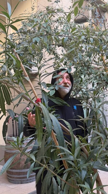 Chronicles of a small industrialist who dreams of re-enchanting France - Episode 51